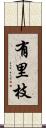 有里枝 Scroll