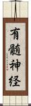 有髄神経 Scroll