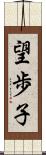 望歩子 Scroll