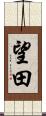 望田 Scroll