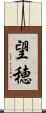 望穂 Scroll