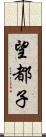 望都子 Scroll