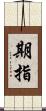 期指 Scroll
