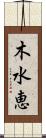 木水恵 Scroll