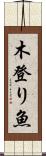 木登り魚 Scroll