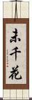 未千花 Scroll