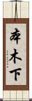 本木下 Scroll