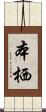 本栖 Scroll