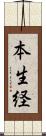 本生経 Scroll