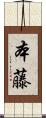 本藤 Scroll