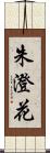 朱澄花 Scroll