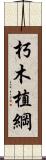 朽木植綱 Scroll