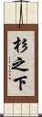 杉之下 Scroll