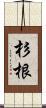 杉根 Scroll