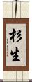 杉生 Scroll