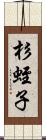 杉蛭子 Scroll