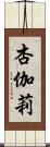 杏伽莉 Scroll