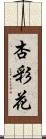 杏彩花 Scroll