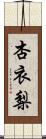 杏衣梨 Scroll