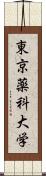 東京薬科大学 Scroll