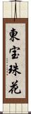 東宝珠花 Scroll