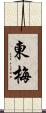 東梅 Scroll