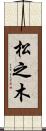 松之木 Scroll