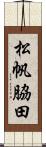 松帆脇田 Scroll