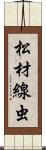 松材線虫 Scroll