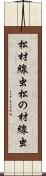 松材線虫 Scroll