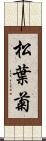 松葉菊 Scroll