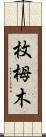 枚栂木 Scroll
