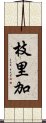 枝里加 Scroll