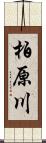 柏原川 Scroll