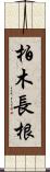 柏木長根 Scroll