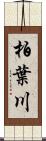 柏葉川 Scroll