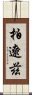 柏遼茲 Scroll