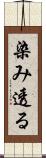 染み透る Scroll