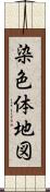 染色体地図 Scroll