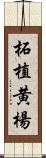 柘植 Scroll