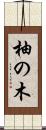 柚の木 Scroll