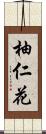柚仁花 Scroll