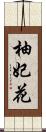 柚妃花 Scroll