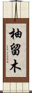 柚留木 Scroll