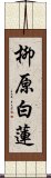 柳原白蓮 Scroll