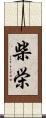 柴栄 Scroll
