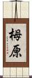 栂原 Scroll