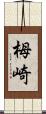栂崎 Scroll