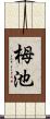 栂池 Scroll