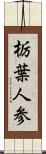 栃葉人参 Scroll